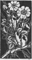 Trapp_Kraeuter_01_mini