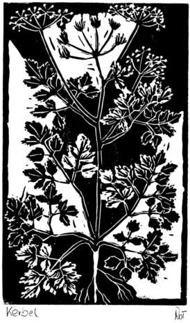 Trapp_Kraeuter_04_klein